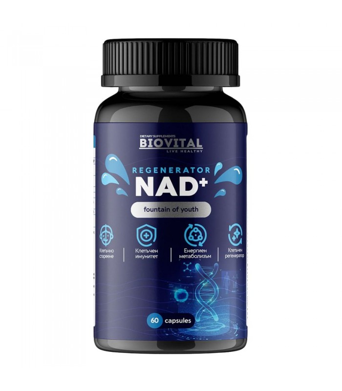 NAD+ 1060мг 60 капсули - Клетъчно стареене и Енергиен метаболизъм